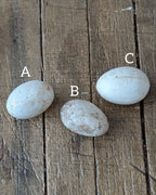 CHOICE Ironstone Egg Crate & 3 Ironstone Broody Eggs