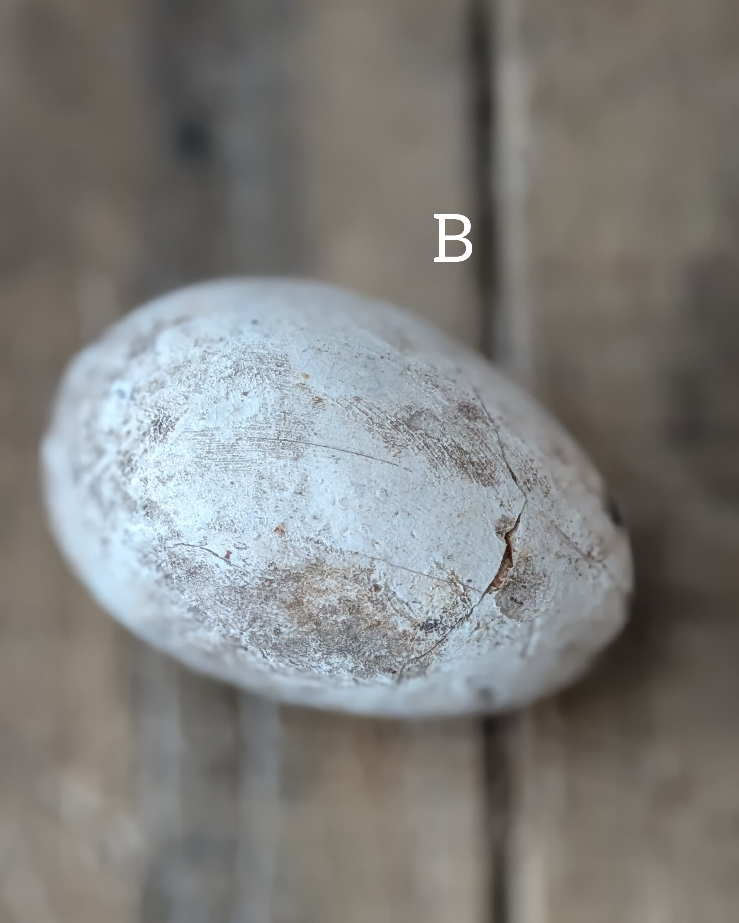 CHOICE Ironstone Egg Crate & 3 Ironstone Broody Eggs