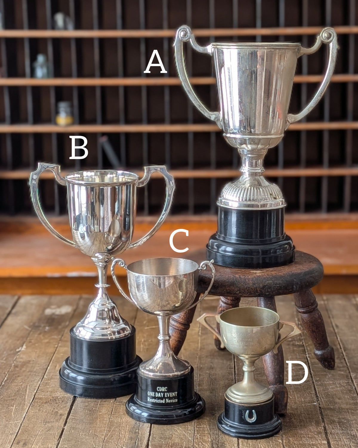 CHOICE of Vintage Silverplated Loving Cup Trophies