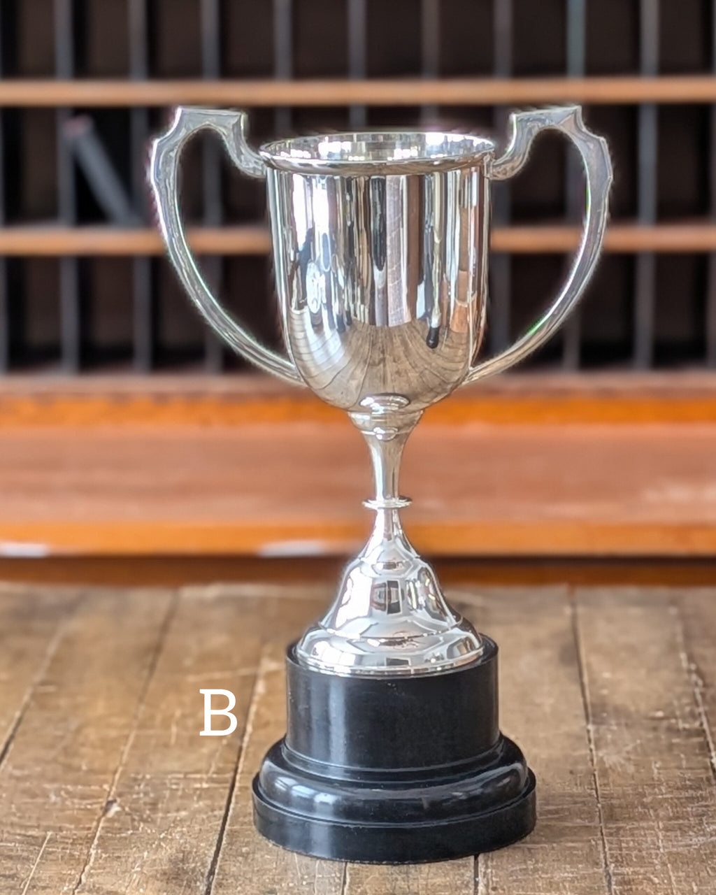 CHOICE of Vintage Silverplated Loving Cup Trophies