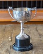 CHOICE of Vintage Silverplated Loving Cup Trophies