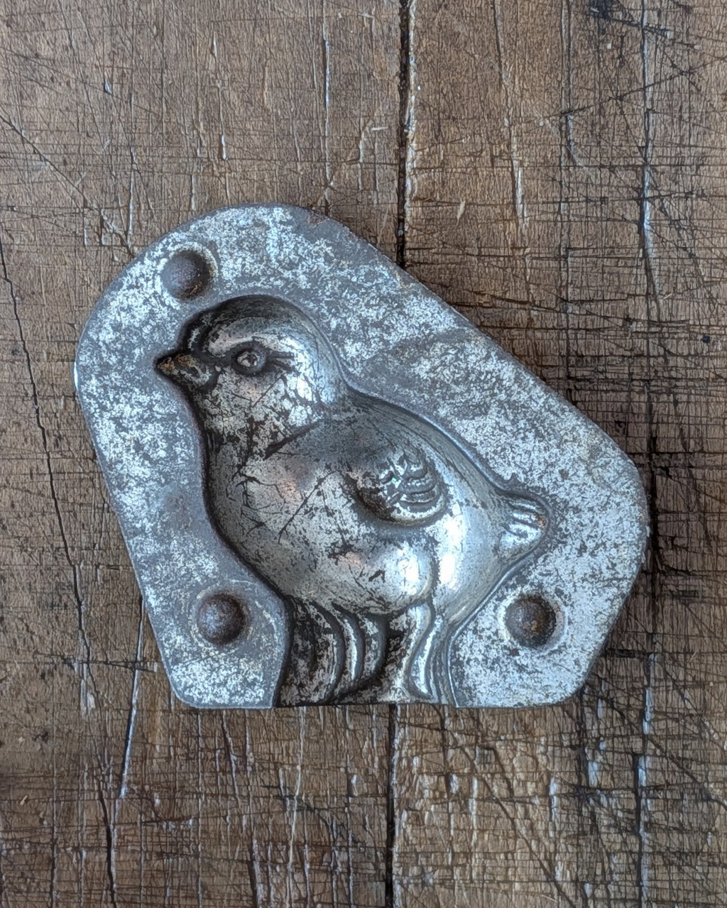 Half of Antique Chick Chocolate Mold