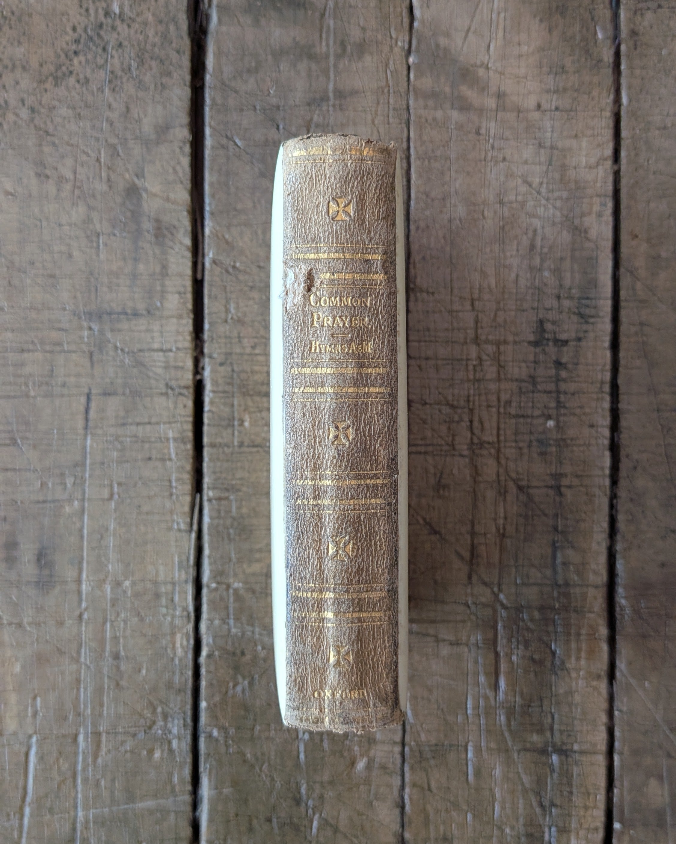 The Book of Common Prayer