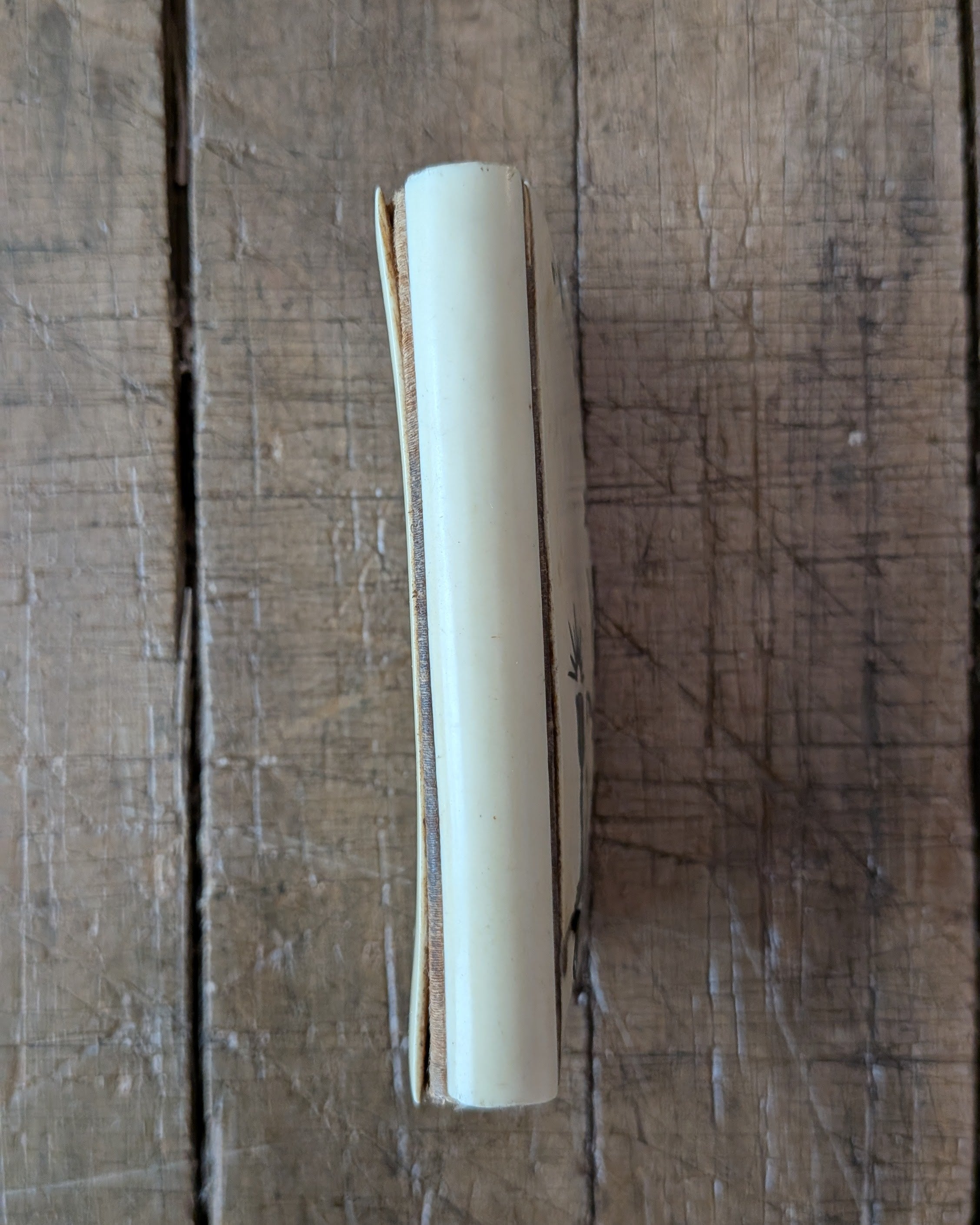 French Salve Regina Prayer Book