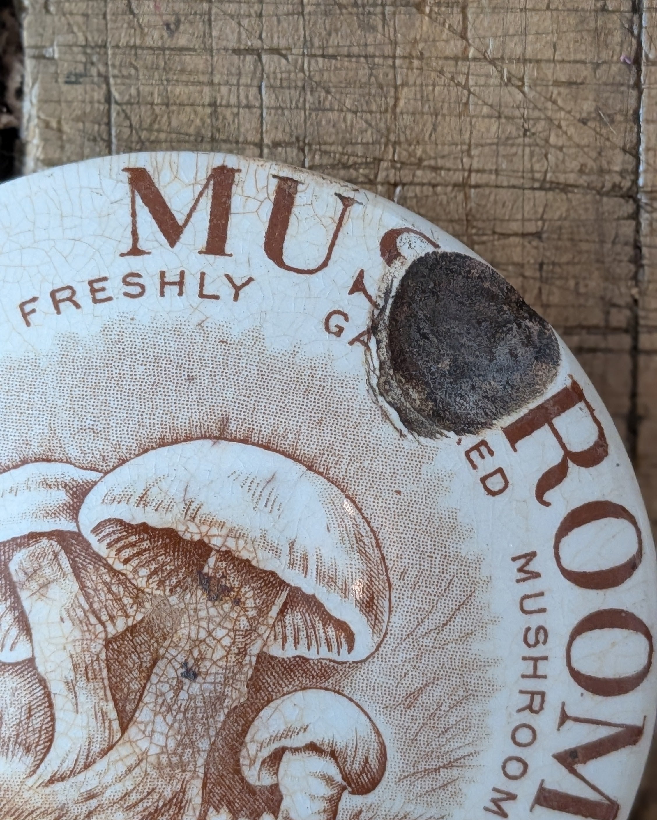 Bale's Mushroom Savoury Lidded Advertising Pot