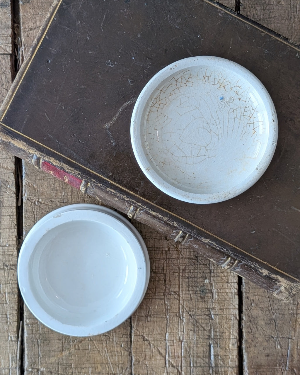 Woods Areca Nut Tooth Paste Lidded Pot