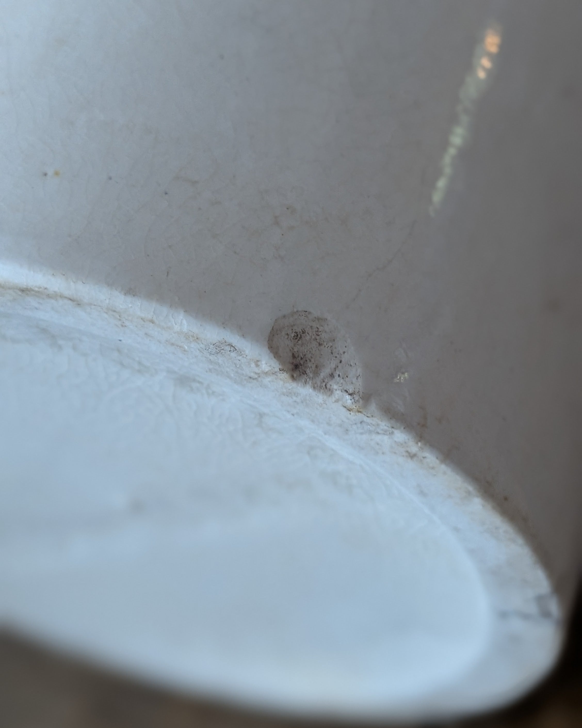 Large Express Dairy Co. Lactic-Bacilli Milk Crock