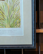 Custom Framed Antique Chromolithograph Featuring Finches, c1875-1878