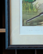 Custom Framed Antique Chromolithograph Featuring King-Fisher & Wagtail Birds, c1875-1878