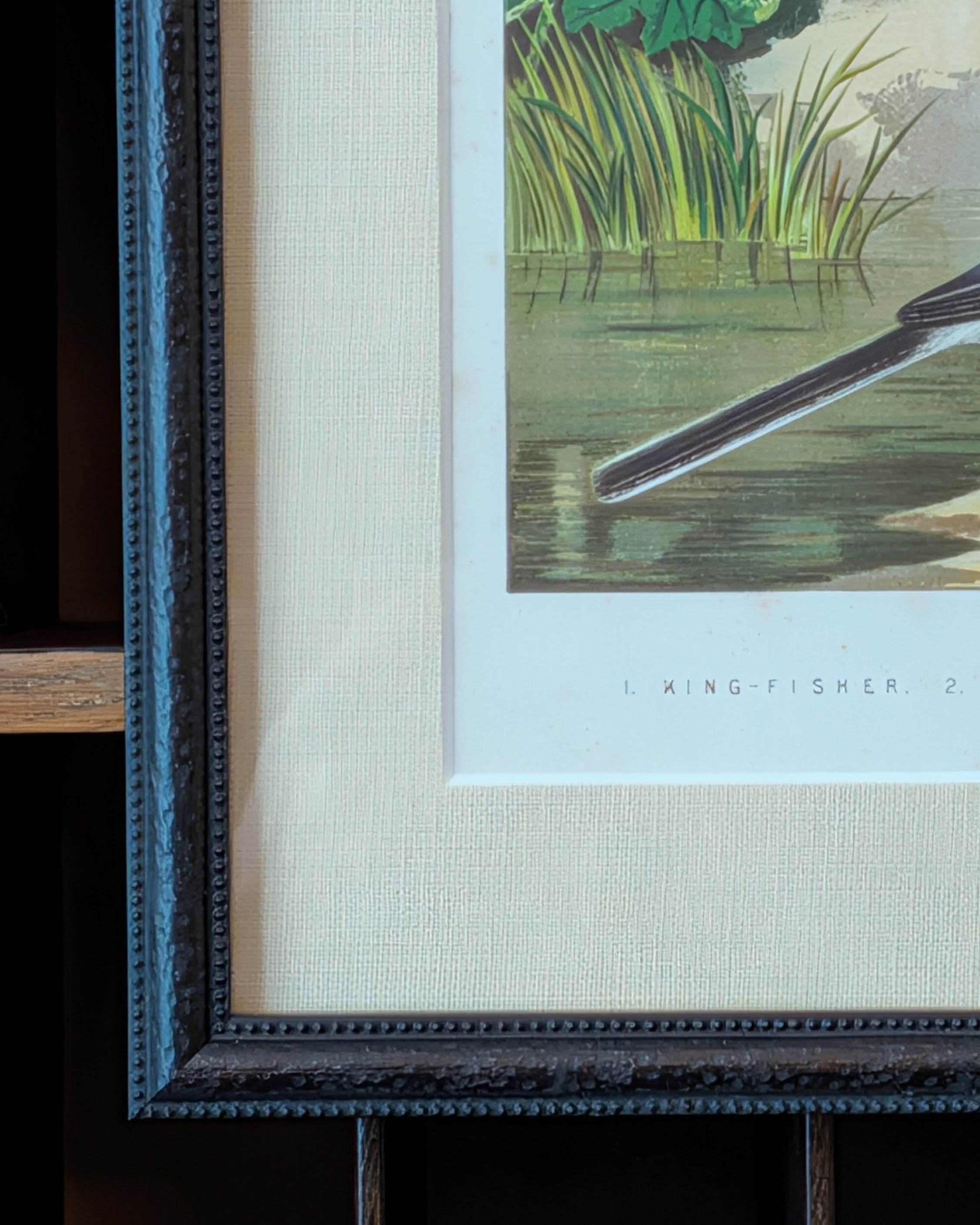 Custom Framed Antique Chromolithograph Featuring King-Fisher & Wagtail Birds, c1875-1878