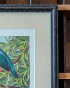Custom Framed Antique Chromolithograph Featuring King-Fisher & Wagtail Birds, c1875-1878