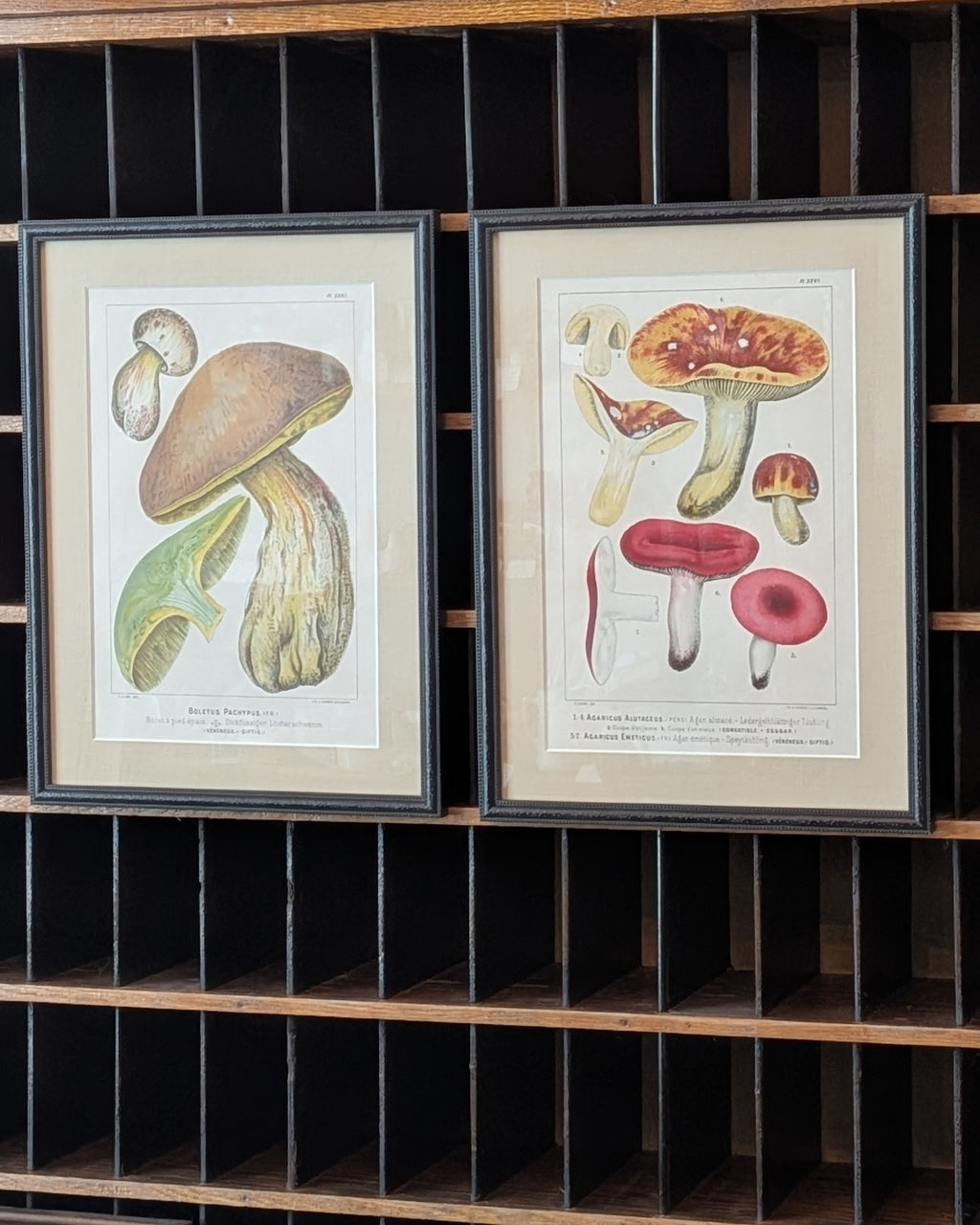CHOICE of 2 Chromolithograph Illustrations, c1890