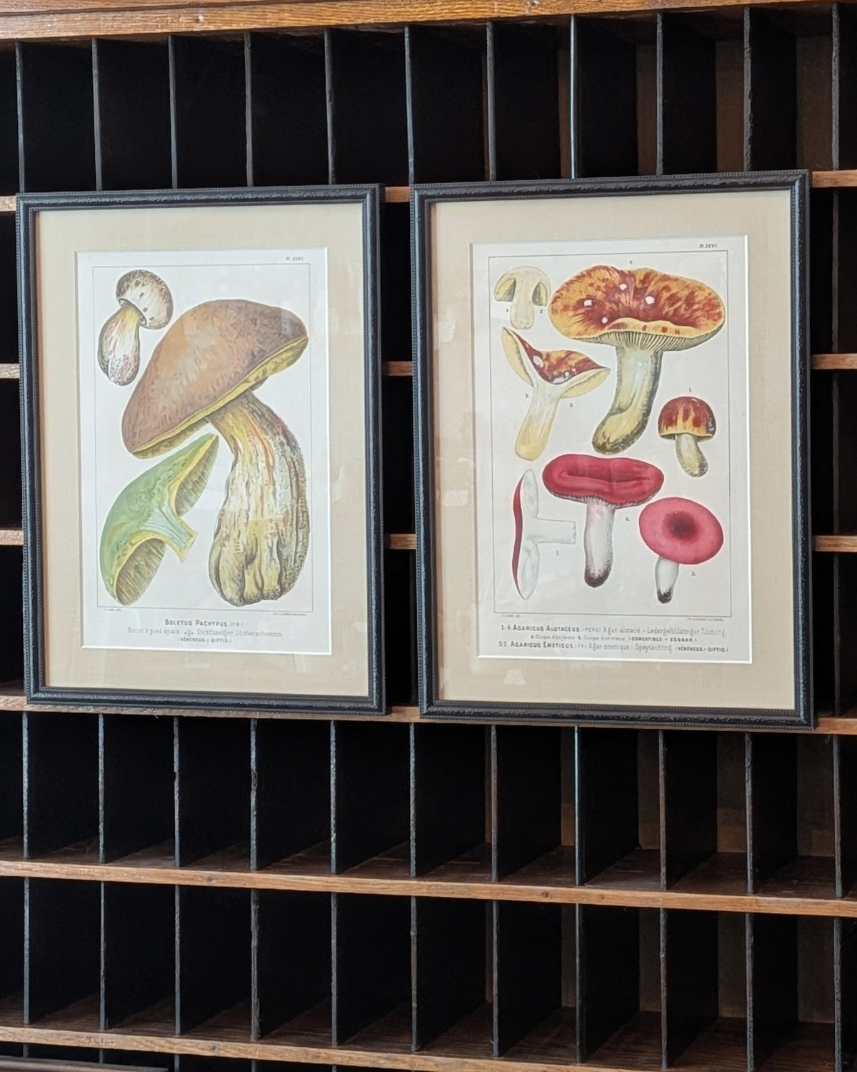 CHOICE of 2 Chromolithograph Illustrations, c1890