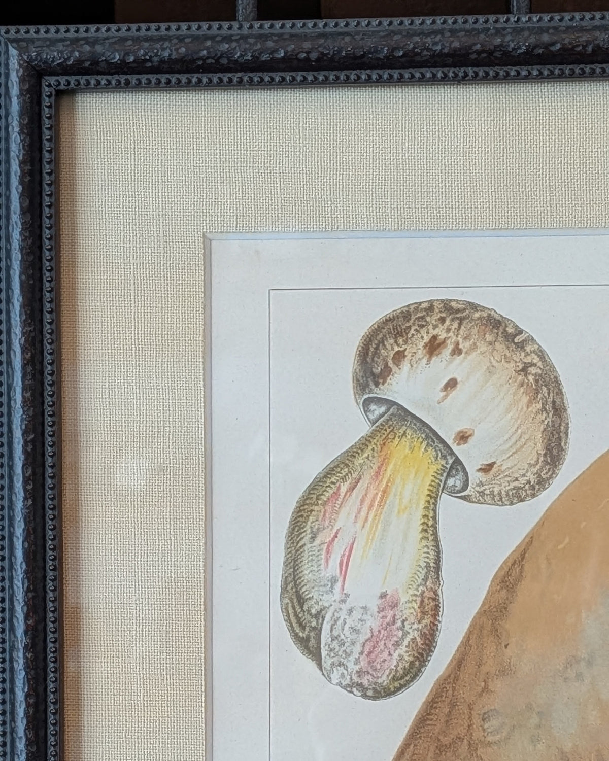 CHOICE of 2 Chromolithograph Illustrations, c1890