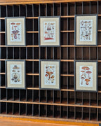 CHOICE of 6 Framed Botanical Illustrations, c1911