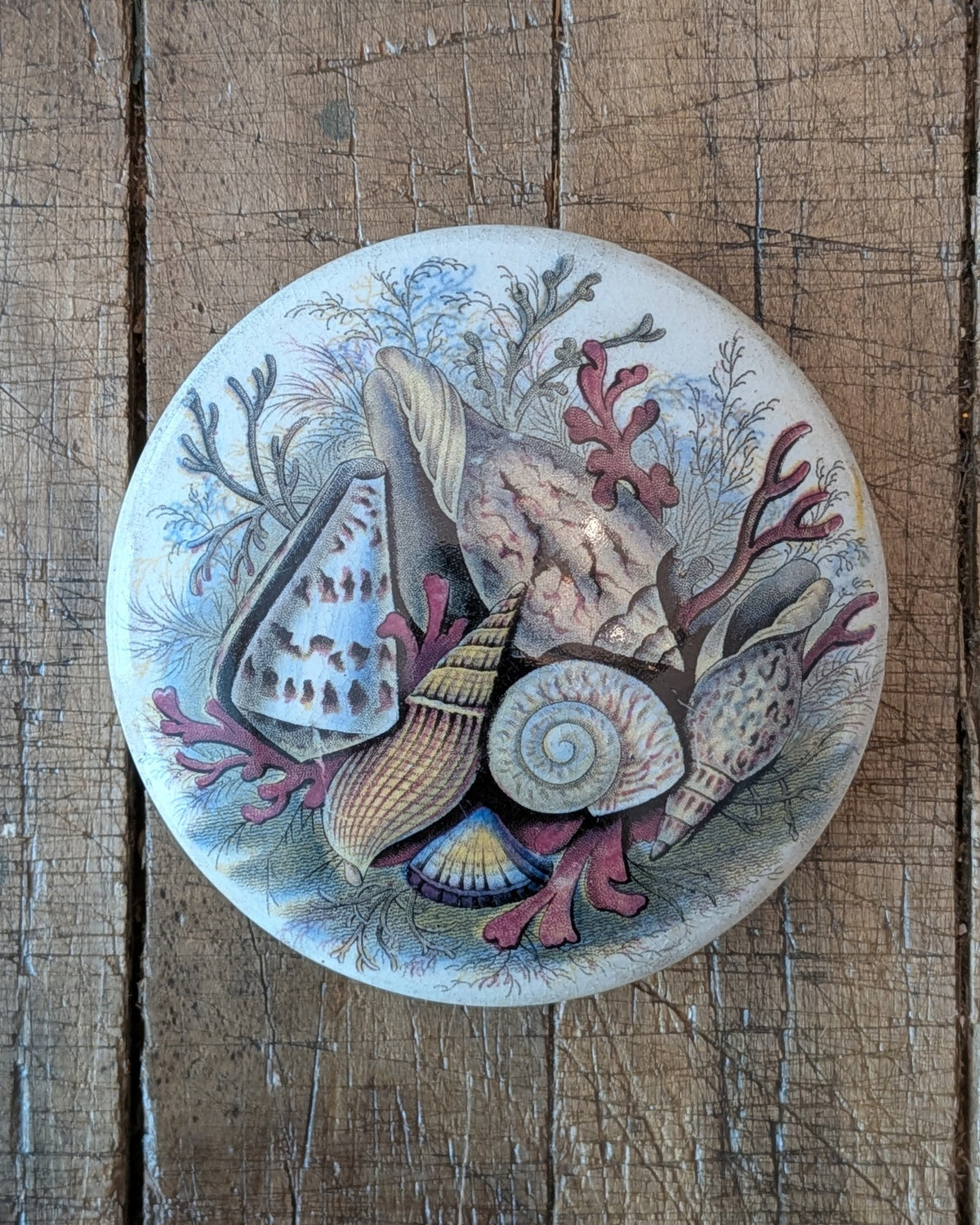Victorian-Era Prattware Lid with "Shells" Artwork