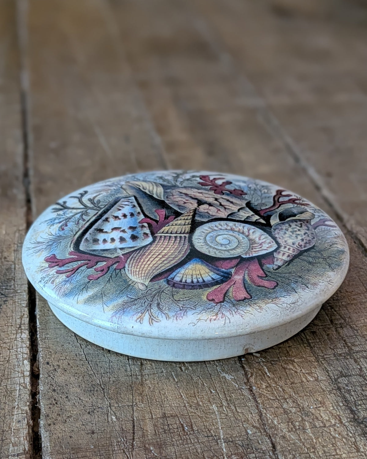 Victorian-Era Prattware Lid with "Shells" Artwork