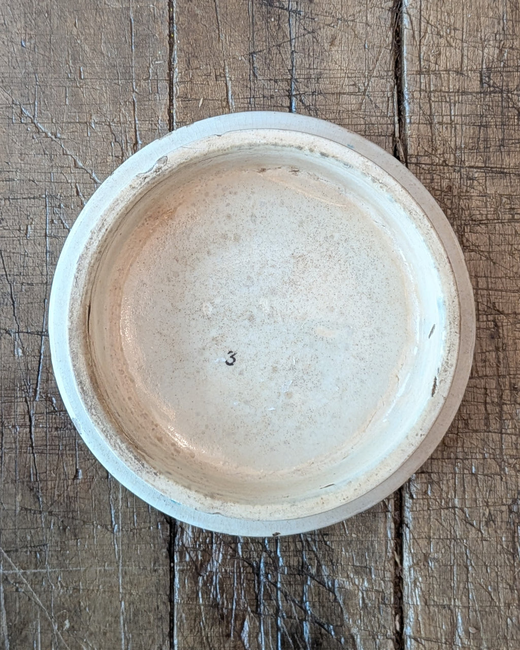 Victorian-Era Prattware Lid with "Shells" Artwork