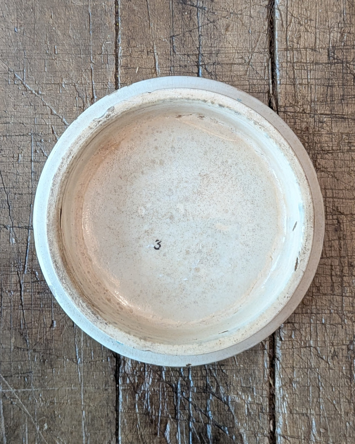Victorian-Era Prattware Lid with "Shells" Artwork